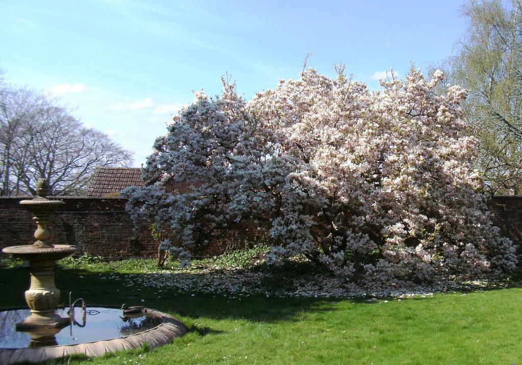 Hilbury Court Hotel Trowbridge Eksteriør billede